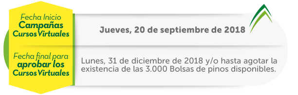 Fecha Fecha