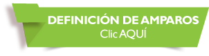 DEFINICIN DE AMPAROS Clic AQU
